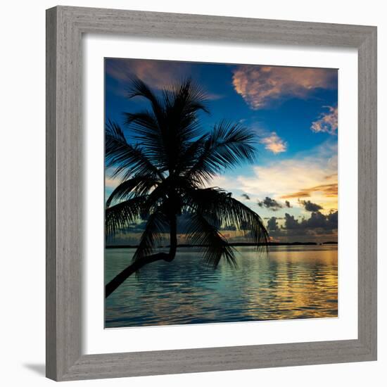 Silhouette of Palm Tree at Sunset-Philippe Hugonnard-Framed Photographic Print