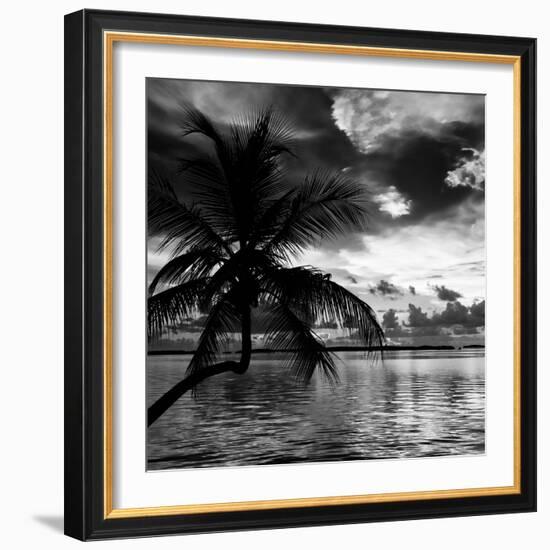 Silhouette of Palm Tree at Sunset-Philippe Hugonnard-Framed Photographic Print