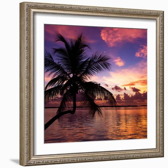 Silhouette of Palm Tree at Sunset-Philippe Hugonnard-Framed Photographic Print