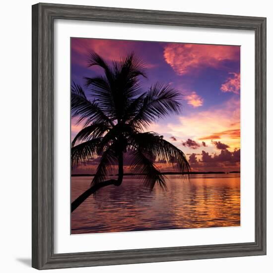 Silhouette of Palm Tree at Sunset-Philippe Hugonnard-Framed Photographic Print