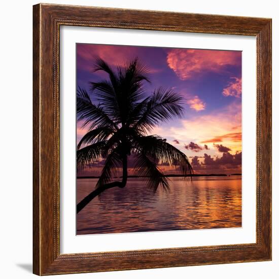 Silhouette of Palm Tree at Sunset-Philippe Hugonnard-Framed Photographic Print