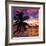 Silhouette of Palm Tree at Sunset-Philippe Hugonnard-Framed Photographic Print