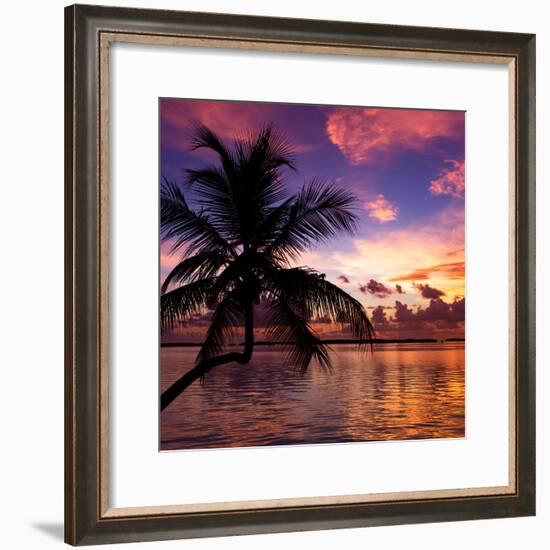 Silhouette of Palm Tree at Sunset-Philippe Hugonnard-Framed Photographic Print