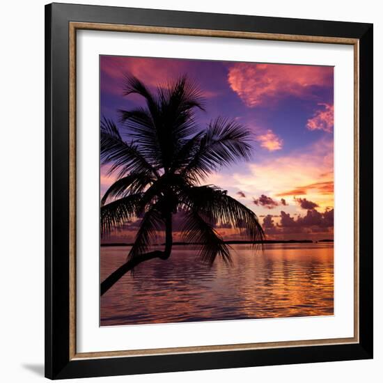 Silhouette of Palm Tree at Sunset-Philippe Hugonnard-Framed Photographic Print