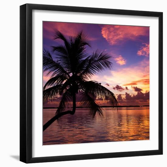 Silhouette of Palm Tree at Sunset-Philippe Hugonnard-Framed Photographic Print