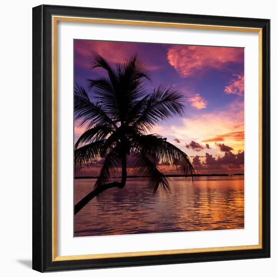 Silhouette of Palm Tree at Sunset-Philippe Hugonnard-Framed Photographic Print