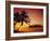 Silhouette of Palm Trees and Desert Island at Sunrise, Rarotonga, Cook Islands, South Pacific-Dominic Webster-Framed Photographic Print