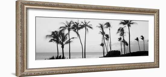 Silhouette of Palm Trees at Dusk, Hawaii, USA-null-Framed Photographic Print