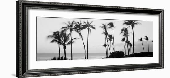 Silhouette of Palm Trees at Dusk, Hawaii, USA-null-Framed Photographic Print