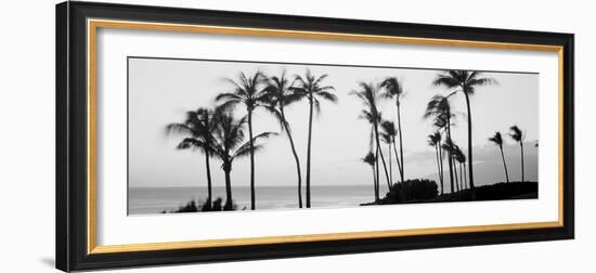 Silhouette of Palm Trees at Dusk, Hawaii, USA-null-Framed Photographic Print