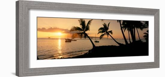 Silhouette of Palm Trees at Dusk, Lahaina, Maui, Hawaii, USA-null-Framed Photographic Print