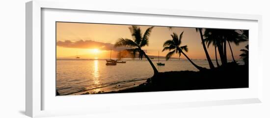 Silhouette of Palm Trees at Dusk, Lahaina, Maui, Hawaii, USA-null-Framed Photographic Print