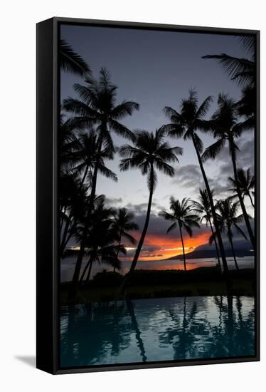 Silhouette of palm trees at dusk, Lahaina, Maui, Hawaii, USA-null-Framed Stretched Canvas