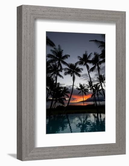 Silhouette of palm trees at dusk, Lahaina, Maui, Hawaii, USA-null-Framed Photographic Print