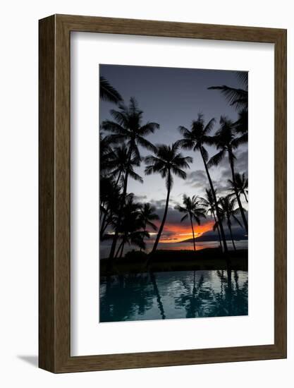 Silhouette of palm trees at dusk, Lahaina, Maui, Hawaii, USA-null-Framed Photographic Print