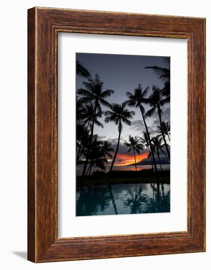 Silhouette of palm trees at dusk, Lahaina, Maui, Hawaii, USA-null-Framed Photographic Print