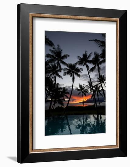 Silhouette of palm trees at dusk, Lahaina, Maui, Hawaii, USA-null-Framed Photographic Print