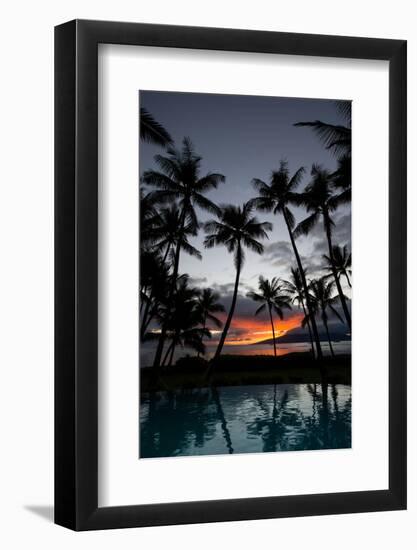 Silhouette of palm trees at dusk, Lahaina, Maui, Hawaii, USA-null-Framed Photographic Print