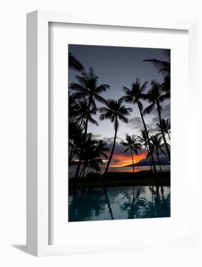 Silhouette of palm trees at dusk, Lahaina, Maui, Hawaii, USA-null-Framed Photographic Print