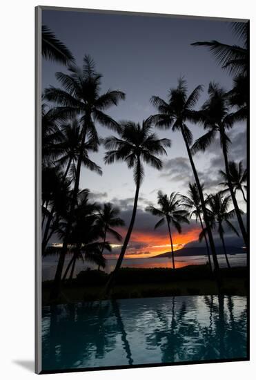 Silhouette of palm trees at dusk, Lahaina, Maui, Hawaii, USA-null-Mounted Photographic Print