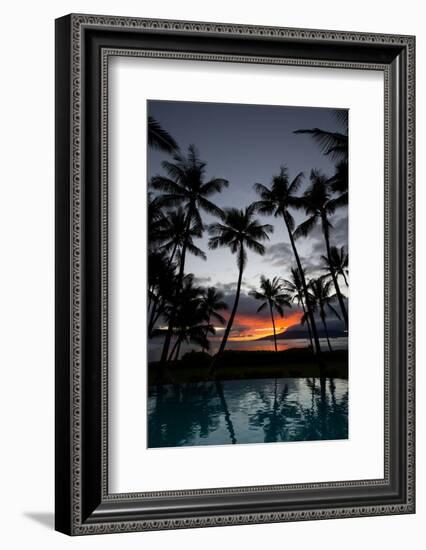 Silhouette of palm trees at dusk, Lahaina, Maui, Hawaii, USA-null-Framed Photographic Print