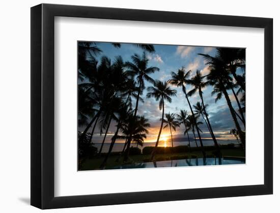 Silhouette of palm trees at dusk, Lahaina, Maui, Hawaii, USA-null-Framed Photographic Print