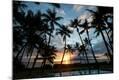 Photographic Print