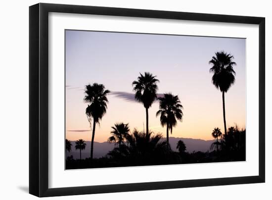 Silhouette of Palm Trees at Dusk, Palm Springs, Riverside County, California, USA-null-Framed Photographic Print