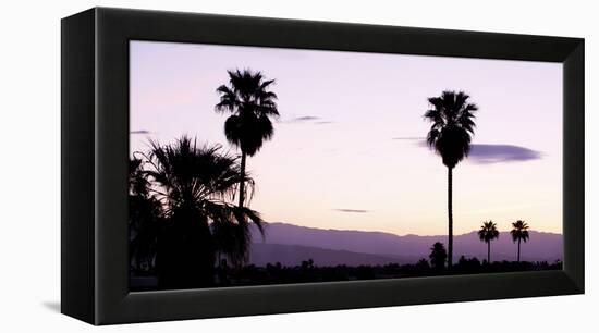 Silhouette of Palm Trees at Dusk, Palm Springs, Riverside County, California, USA-null-Framed Stretched Canvas