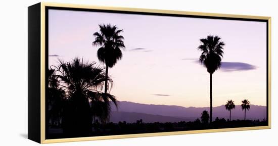 Silhouette of Palm Trees at Dusk, Palm Springs, Riverside County, California, USA-null-Framed Stretched Canvas