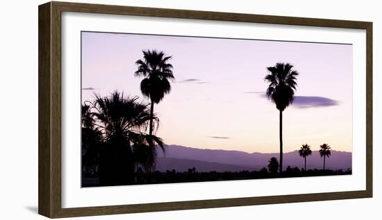 Silhouette of Palm Trees at Dusk, Palm Springs, Riverside County, California, USA-null-Framed Photographic Print