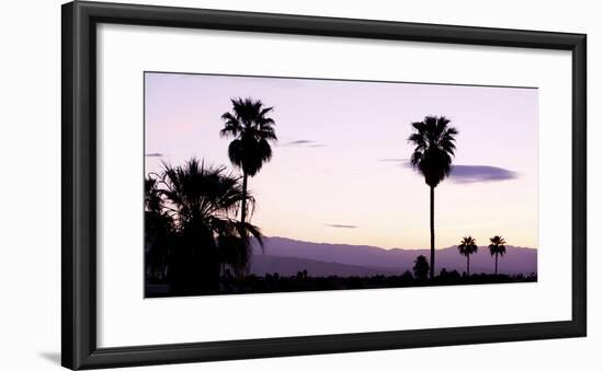 Silhouette of Palm Trees at Dusk, Palm Springs, Riverside County, California, USA-null-Framed Photographic Print