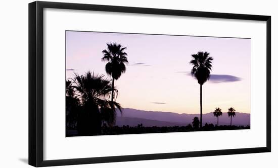 Silhouette of Palm Trees at Dusk, Palm Springs, Riverside County, California, USA-null-Framed Photographic Print