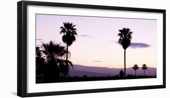 Silhouette of Palm Trees at Dusk, Palm Springs, Riverside County, California, USA-null-Framed Photographic Print