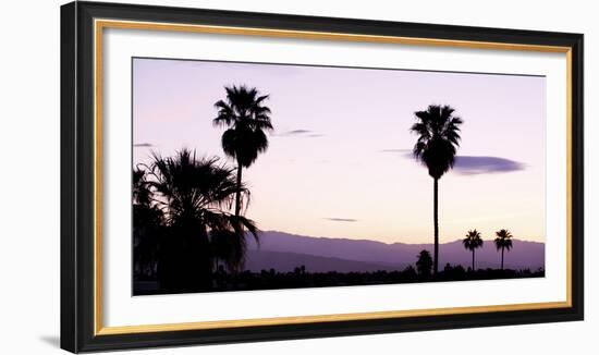 Silhouette of Palm Trees at Dusk, Palm Springs, Riverside County, California, USA-null-Framed Photographic Print