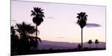 Premium Photographic Print