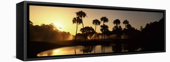 Silhouette of Palm Trees at Sunrise in a Golf Course, Kiawah Island Golf Resort, Kiawah Island-null-Framed Premier Image Canvas