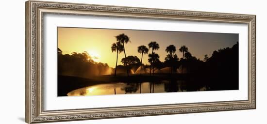 Silhouette of Palm Trees at Sunrise in a Golf Course, Kiawah Island Golf Resort, Kiawah Island-null-Framed Photographic Print