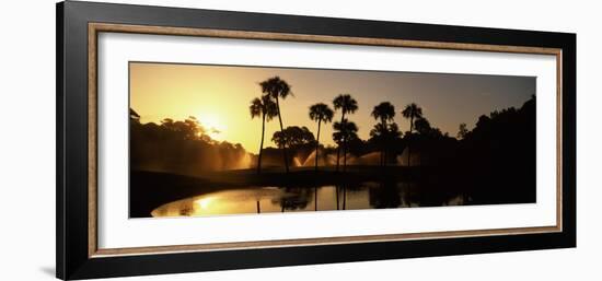 Silhouette of Palm Trees at Sunrise in a Golf Course, Kiawah Island Golf Resort, Kiawah Island-null-Framed Photographic Print