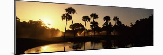 Silhouette of Palm Trees at Sunrise in a Golf Course, Kiawah Island Golf Resort, Kiawah Island-null-Mounted Photographic Print