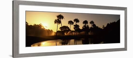 Silhouette of Palm Trees at Sunrise in a Golf Course, Kiawah Island Golf Resort, Kiawah Island-null-Framed Photographic Print