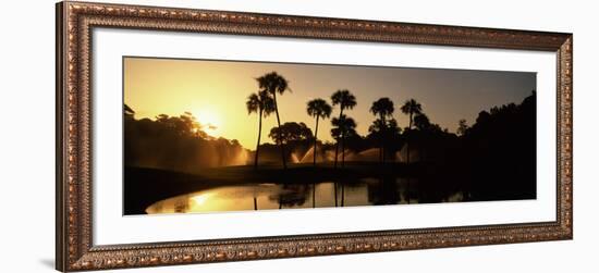 Silhouette of Palm Trees at Sunrise in a Golf Course, Kiawah Island Golf Resort, Kiawah Island-null-Framed Photographic Print