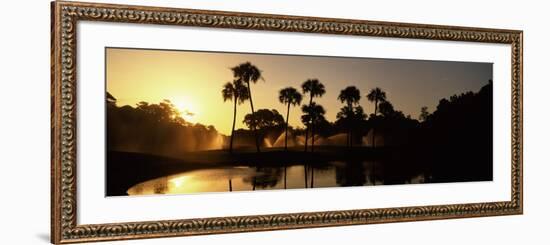 Silhouette of Palm Trees at Sunrise in a Golf Course, Kiawah Island Golf Resort, Kiawah Island-null-Framed Photographic Print