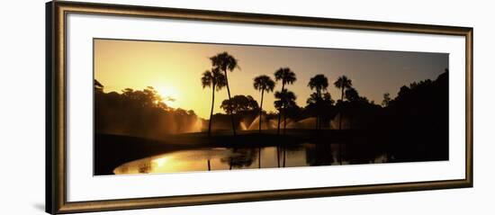 Silhouette of Palm Trees at Sunrise in a Golf Course, Kiawah Island Golf Resort, Kiawah Island-null-Framed Photographic Print