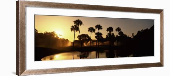 Silhouette of Palm Trees at Sunrise in a Golf Course, Kiawah Island Golf Resort, Kiawah Island-null-Framed Photographic Print