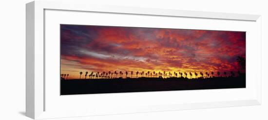Silhouette of Palm Trees at Sunrise, San Diego, San Diego County, California, USA-null-Framed Photographic Print