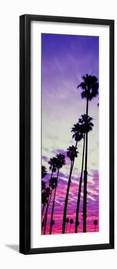 Silhouette of Palm Trees at Sunrise, Santa Barbara, California, USA-null-Framed Photographic Print