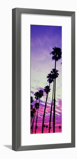 Silhouette of Palm Trees at Sunrise, Santa Barbara, California, USA-null-Framed Photographic Print