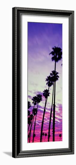 Silhouette of Palm Trees at Sunrise, Santa Barbara, California, USA-null-Framed Photographic Print