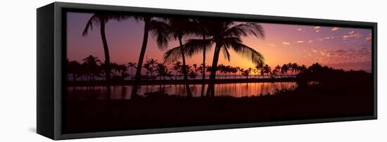 Silhouette of Palm Trees at Sunset, Anaehoomalu Bay, Waikoloa, Hawaii, USA-null-Framed Stretched Canvas